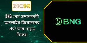 বিএনজি (BNG) গেম প্রোভাইডার