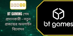 BT GAMING প্রোভাইডার