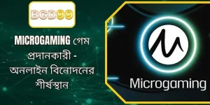 Microgaming প্রোভাইডার