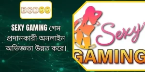 BD333 প্ল্যাটফর্মে বিশ্বখ্যাত SEXY GAMING প্রোভাইডারের লাইভ ক্যাসিনো গেমস